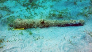 The sunken cannon off the island of St. Kitts uncovered by Eric Sanford.  Photo: Eric Sanford Photography